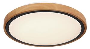Globo 41764-12 - LED Stropné svietidlo BRUNO LED/12W/230V 307 mm 3000/4500/6000K