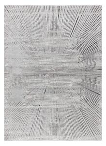 Dywany Łuszczów , Kusový koberec Bliss Z206AZ256 grey, 80x150, šedá, kancelária