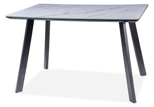 Jedálenský stôl 120 cm Sherly (čierna) (pre 4 osoby). Vlastná spoľahlivá doprava až k Vám domov. 1050796
