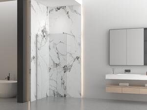 Erga Paris, sprchová zástena Walk-In 30x200 cm, 8mm číre sklo, brúsená oceľ, ERG-V02-PARIS-030x200-CL-BS