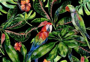 Obraz na plátne Tropical Birds