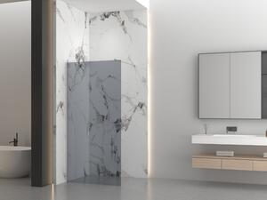 Erga Paris, sprchová zástena Walk-In 30x200 cm, 8mm šedé sklo, brúsená oceľ, ERG-V02-PARIS-030x200-GR-BS