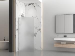 Erga Paris, sprchová zástena Walk-In 50x200 cm, 8mm sklo námraza, brúsená oceľ, ERG-V02-PARIS-050x200-FR-BS