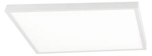 Orion - LED stmievateľné stropné svietidlo DISC LED/46W/230V 2700/3000/4000K 59x59 cm biele