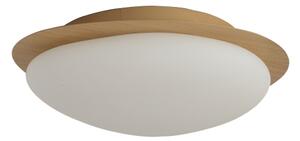 Brilagi - LED stropné svietidlo VISBY WOOD LED/18W/230V pr. 38 cm hnedé