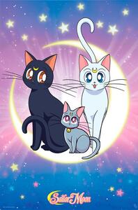 Plagát, Obraz - Sailor Moon - Luna, Artemis & Diana