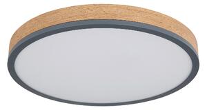 STROPNÉ LED SVIETIDLO, 45/8,5 cm Novel - Série svietidiel