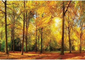 Vliesové fototapety 13460V8, rozmer 368 cm x 254 cm, stromy v parku, IMPOL TRADE