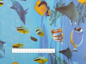 PVC obrus Morské ryby PV-053 - metráž š. 140 cm