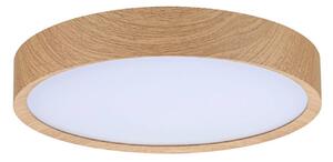 Paulmann Tega stropné LED svetlo IP44 drevo, Svetlé drevo, Kúpeľňa, Plast, Moderný, Závesné svietidlo