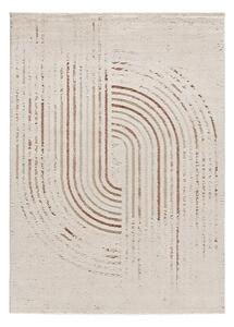 Krémový koberec 200x290 cm Candela – Universal