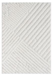 Dekorstudio Moderný koberec FOCUS 749 krémový Rozmer koberca: 120x170cm