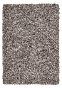Sivý koberec 80x150 cm Vista – Think Rugs