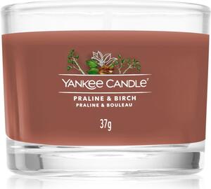 Yankee Candle Praline & Birch votívna sviečka 37 g