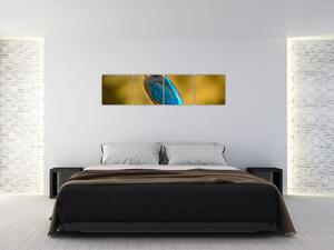Obraz - farebný vták (Obraz 160x40cm)