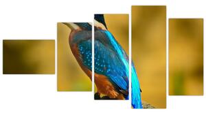 Obraz - farebný vták (Obraz 110x60cm)
