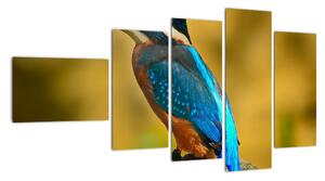Obraz - farebný vták (Obraz 110x60cm)