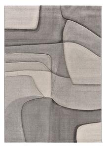 Sivý koberec 160x230 cm Medel – Universal