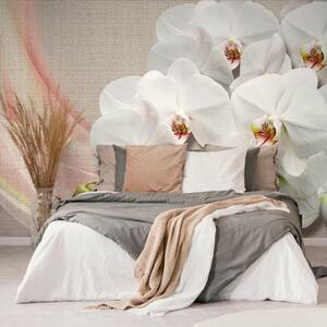 Samolepiaca tapeta biela orchidea na plátne - 225x150