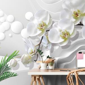 Tapeta orchidea na abstraktnom pozadí - 225x150