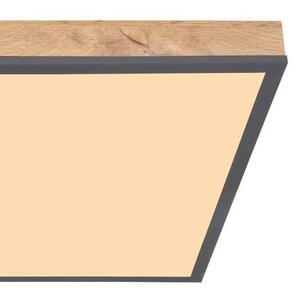 STROPNÉ LED SVIETIDLO, 45/45/6.5 cm Globo - Online Only bytové doplnky, Online Only