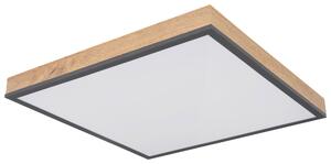 STROPNÉ LED SVIETIDLO, 45/45/6,5 cm Globo - Online Only bytové doplnky, Online Only