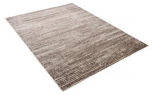 Kusový koberec Ridan hnedý 200x300cm