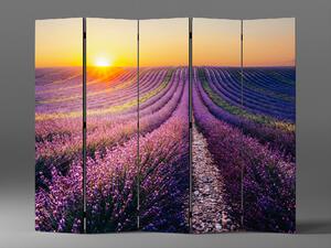 Liox Paraván západ slnka Provence Rozmer: 225 x 180 cm