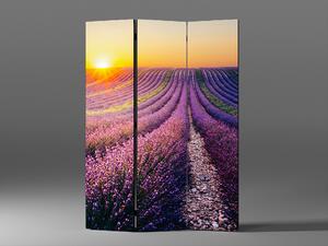 Liox Paraván západ slnka Provence Rozmer: 135 x 180 cm
