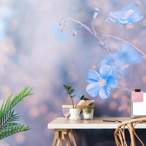 Samolepiaca fototapeta modré kvety na vintage pozadí - 225x150