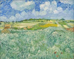 Obrazová reprodukcia Plain at Auvers, 1890, Vincent van Gogh