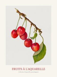 Obrazová reprodukcia Cherries (Watercolour Kitchen Fruit)