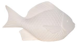 Sochy Signes Grimalt Led Fish