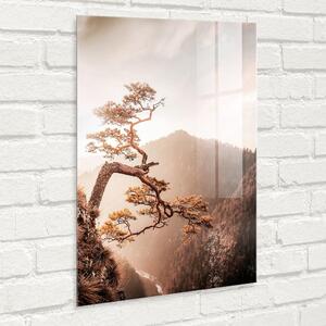 Sklenený obraz 50x70 cm Brown Tree - Styler