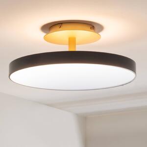 UMAGE stropné LED svetlo Asteria UP PLUS, antracit Ø 43 cm, Čierna, Obývacia izba / jedáleň, kov, Dizajn, Stropné svetlo polkruhové s priestorom