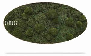 Machový obraz Elipsa FLATMOSS & BOLMOSS Natural - 50 x 100 cm
