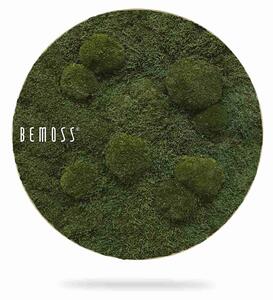 Machový obraz kruh FLATMOSS & BOLMOSS Natural Green - Priemer 40 cm