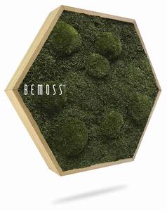 Machový Hexagon FLATMOSS & BOLMOSS Natural green - Priemer 30 cm (v najširšom mieste šesťuholníka)