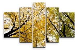 Sablio Obraz - 5-dílný Koruny stromov - 125x90 cm
