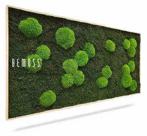 Machový obraz FLATMOSS & BOLMOSS Light Green - 40 x 40 cm