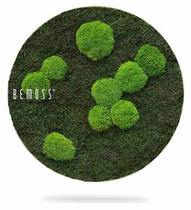 Machový obraz kruh FLATMOSS & BOLMOSS Light Green - Priemer 40 cm
