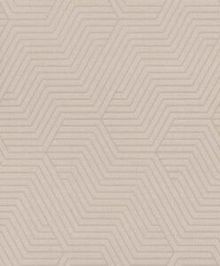 RASCH | Vliesová tapeta na stenu Deco Style 312522 | 0,53 x 10,05 m | béžová, metalická