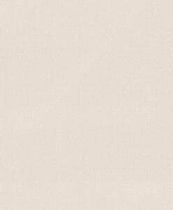 RASCH | Vliesová tapeta na stenu Deco Style 312331 | 0,53 x 10,05 m | krémová