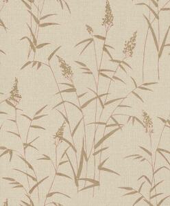 RASCH | Vliesová tapeta na stenu Deco Style 312928 | 0,53 x 10,05 m | béžová, zlatá