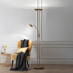 LED stojacia lampa Tallri, greige Výška 180 cm 2-pl. Touchdim, Hnedá / hrdzavá, Obývacia izba / jedáleň, kov, Moderný, Zemné bodové svetlo