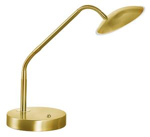 Stolová LED lampa Tallri, mosadz, výška 60 cm, dotykový stmievač, Mosadz / zlato, Obývacia izba / jedáleň, kov, Moderný