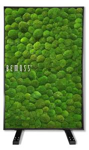 Machový paraván BOLMOSS LIGHT - obojstranný - 80 x 200 cm