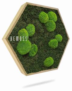 Machový Hexagon FLATMOSS & BOLMOSS Light green - Priemer 30 cm (v najširšom mieste šesťuholníka)