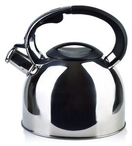 Kovová čajová kanvica Sten Silver 2,5l
