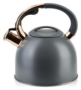 Kovová čajová kanvica Sten Grey 2,5l